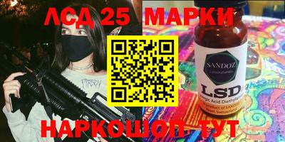 шишки Кандалакша