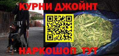 шишки Кандалакша