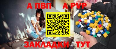 шишки Кандалакша
