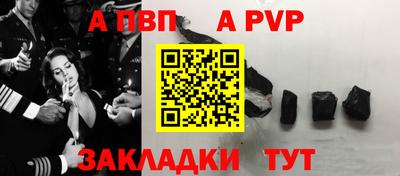 шишки Кандалакша