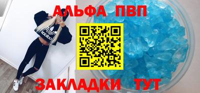 шишки Кандалакша