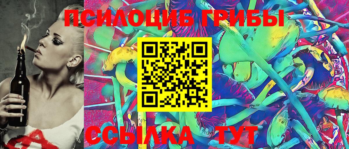 Псилоцибиновые грибы мицелий Шадринск