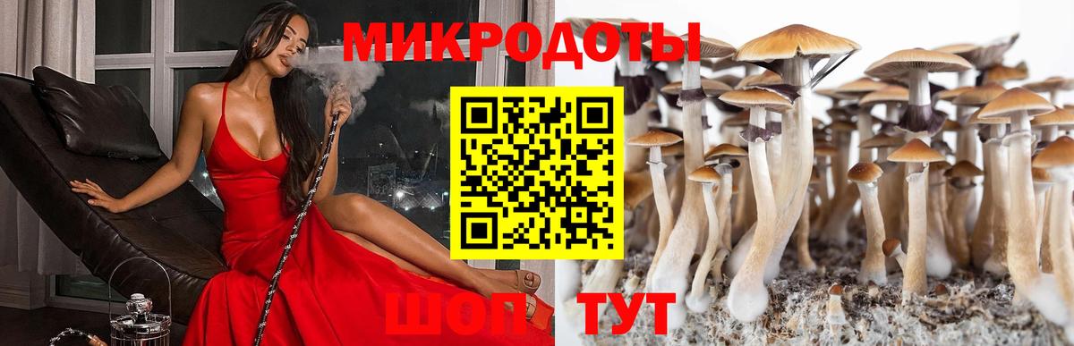 Псилоцибиновые грибы Psilocybe  Вход с VPN  Псилоцибиновые грибы Psilocybine cubensis  Шадринск 